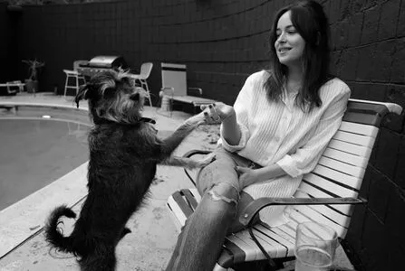 Dakota Johnson / dakotajohnson / isDakotaJohnson nude photo #0490