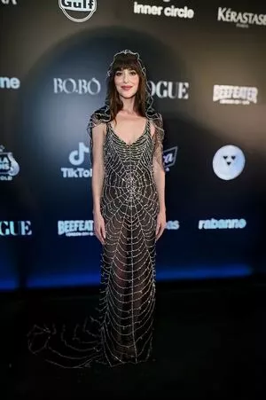 Dakota Johnson / dakotajohnson / isDakotaJohnson nude photo #0528