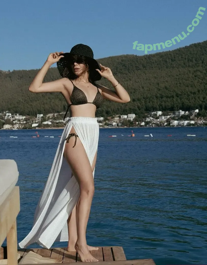 Damla Sönmez nude photo #0025 (iamdamlasonmez)
