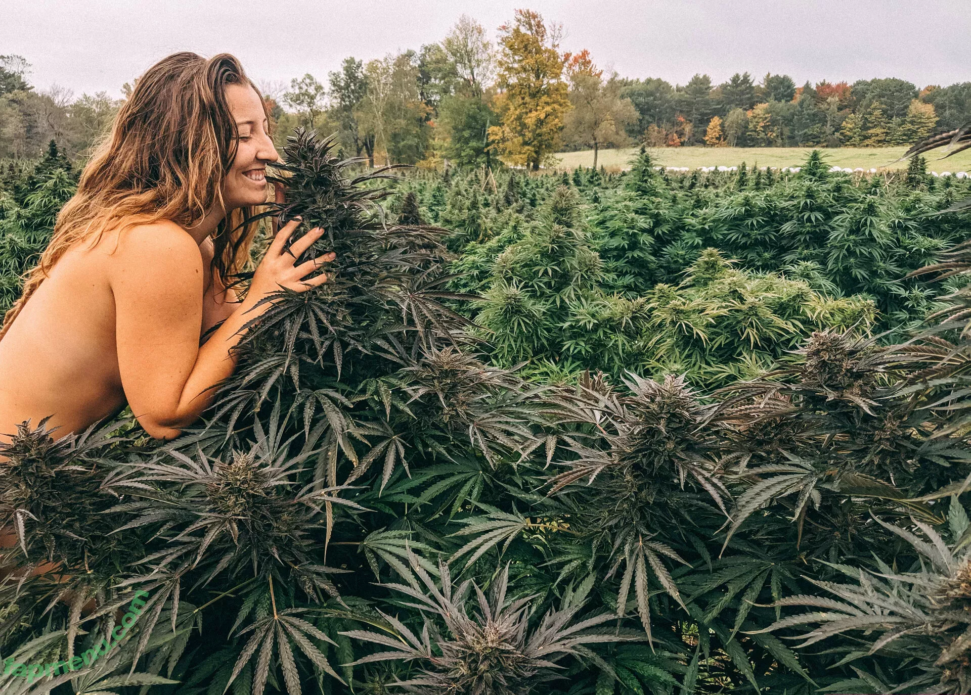 danceincannabis nude photo #0012 (danceincannabis)