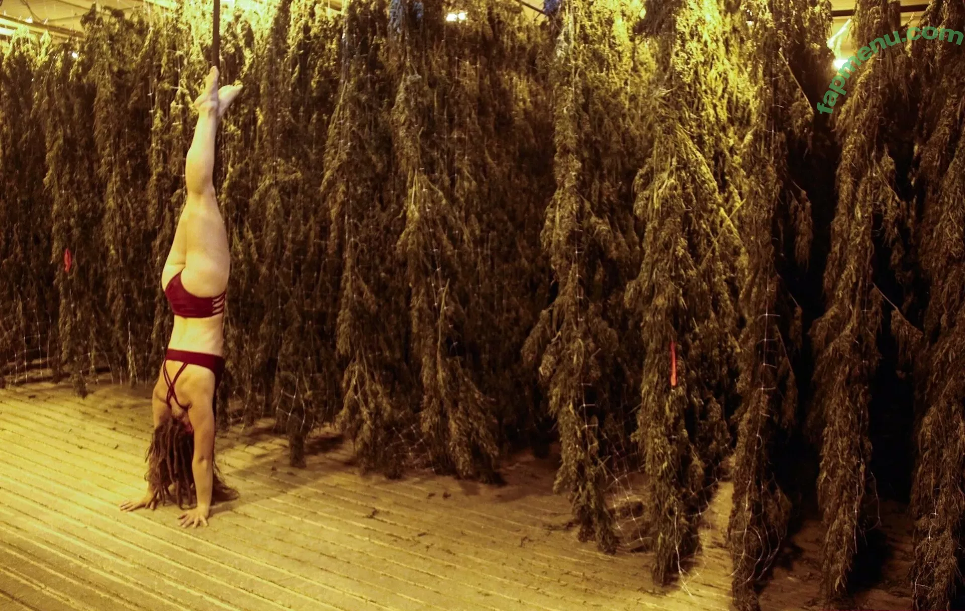 danceincannabis nude photo #0039 (danceincannabis)