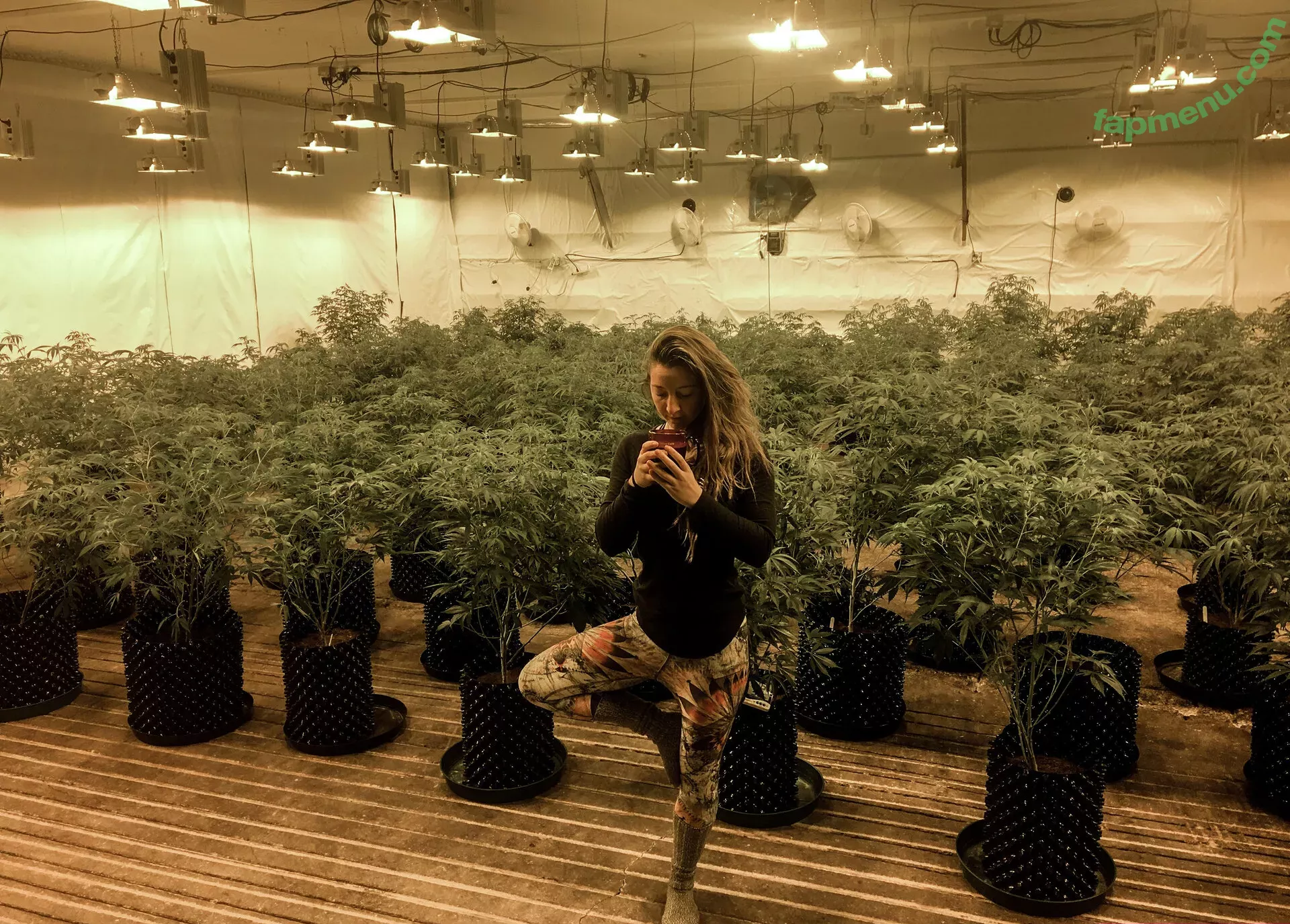 danceincannabis nude photo #0044 (danceincannabis)