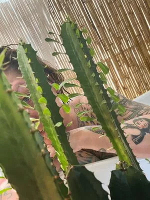 Danielle Colby / DanielleColby / daniellecolbyamericanpicker nude photo #0676