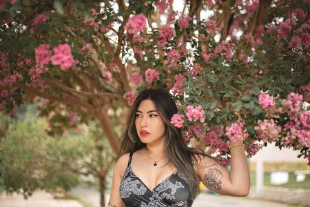 Danievedo / Danielle Vedovelli nude photo #1135