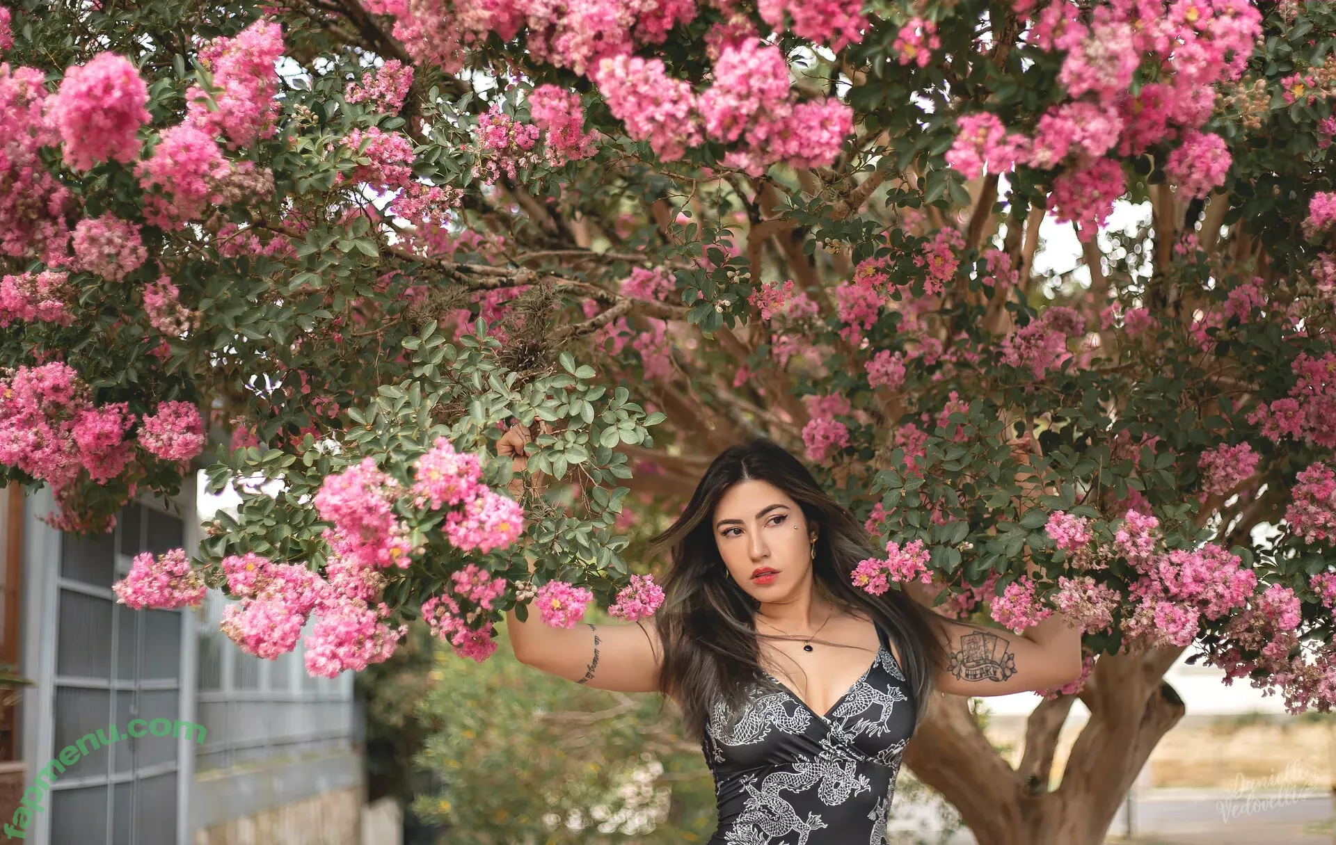 Danievedo nude photo #1138 (Danielle Vedovelli)