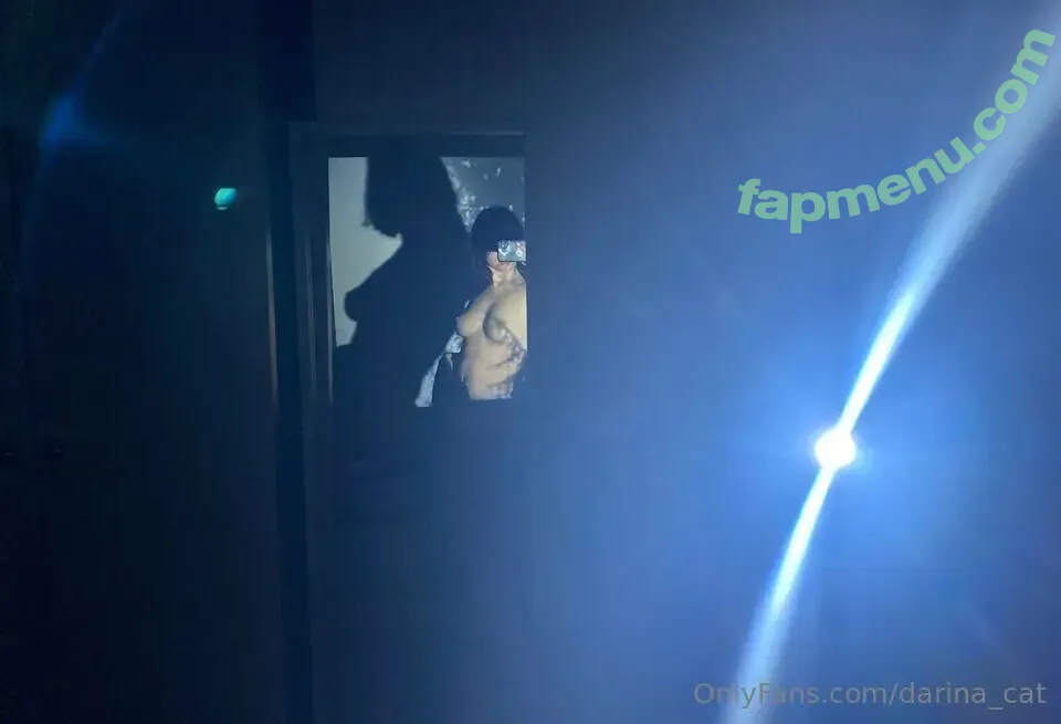 darina_cat nude photo #0111 (dura_durnaya_daria / kyivski_kotik)