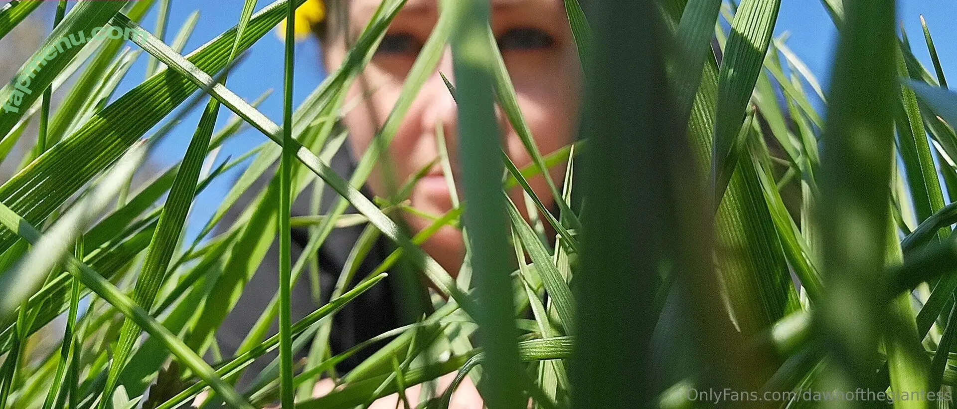 dawnofthegiantess nude photo #0017 (dawnofthegiantess)