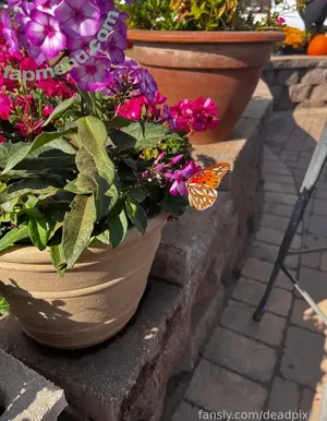 deadpixies / deadpixie nude photo #0777