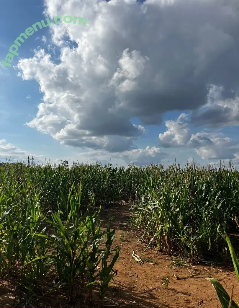 deadpixies nude photo #0775 (deadpixie)