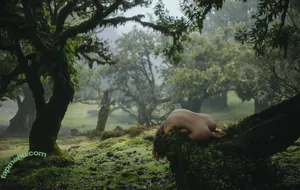 DeanRalphs / Anna.Ralphs / _anna_ralphs_ nude photo #0229