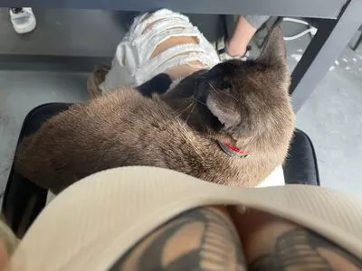 Deer_white / DeerWhite_ / deer_white_ / deerwhite nude photo #0918