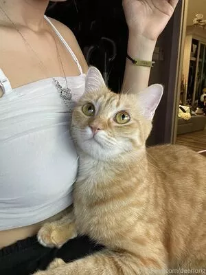 Deerlong / arisahomgroon / deerlongasmr nude photo #0182