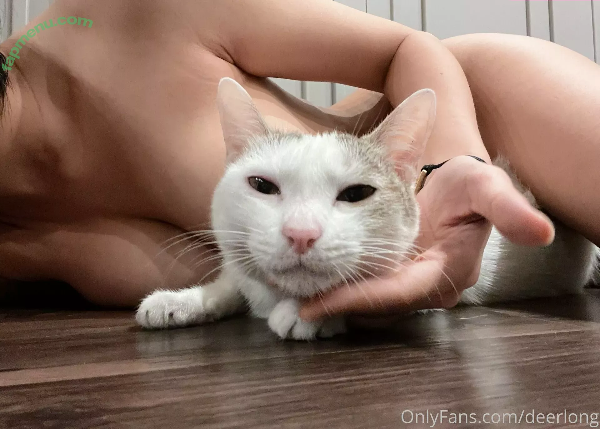 Deerlong nude photo #0225 (arisahomgroon / deerlongasmr)