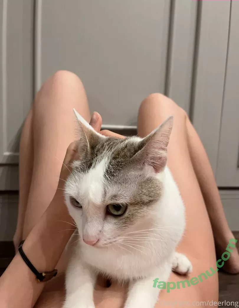 Deerlong nude photo #0226 (arisahomgroon / deerlongasmr)