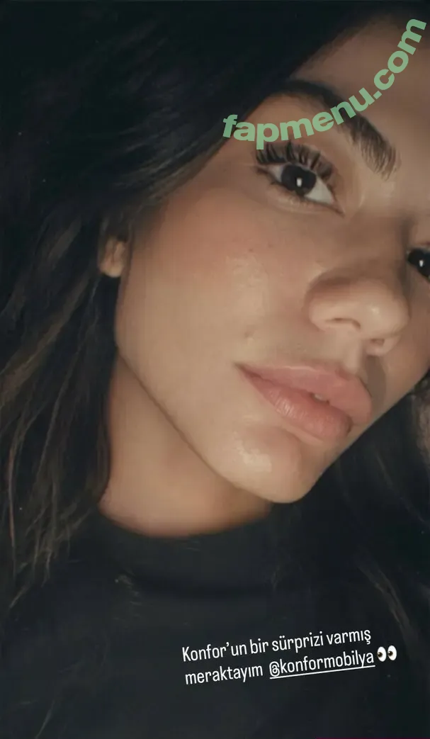 Demet Ozdemir nude photo #0037 (demetozdemir)