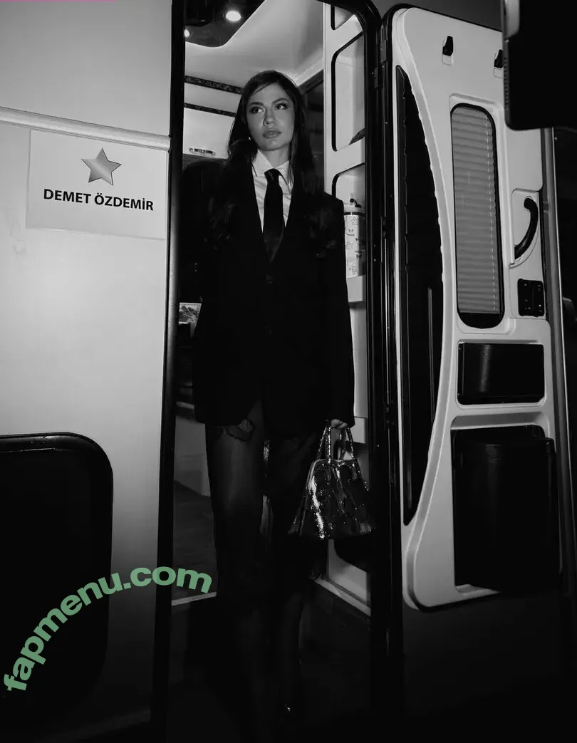 Demet Ozdemir nude photo #0122 (demetozdemir / dmtzdmr)