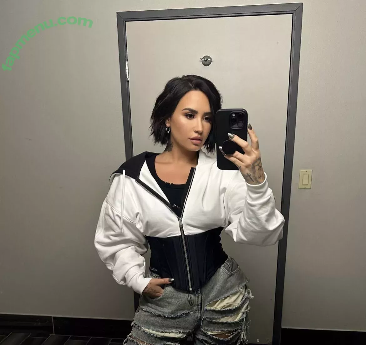 Demi Lovato nude photo #0044 (ddlovato / demi_lovato)