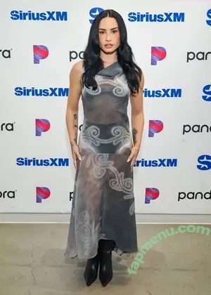 Demi Lovato / ddlovato nude photo #1183