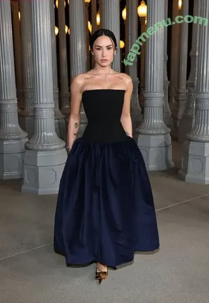 Demi Lovato / ddlovato nude photo #1210