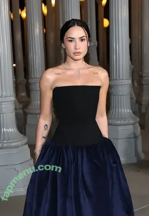 Demi Lovato / ddlovato nude photo #1220