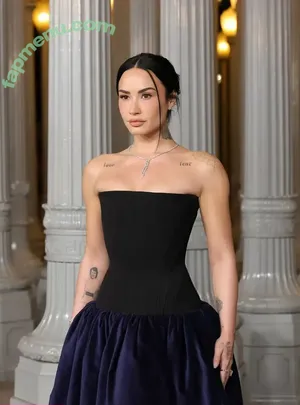 Demi Lovato / ddlovato nude photo #1231