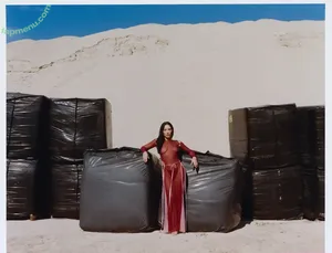 Demi Lovato / ddlovato nude photo #1305