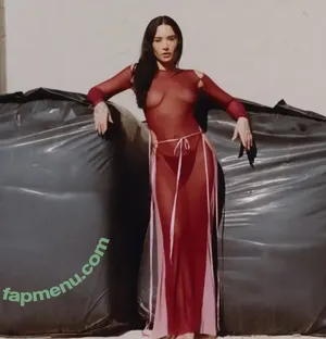 Demi Lovato / ddlovato nude photo #1314