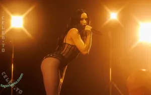 Demi Lovato / ddlovato nude photo #1340