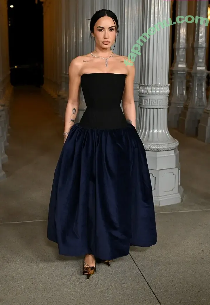 Demi Lovato nude photo #1211 (ddlovato)