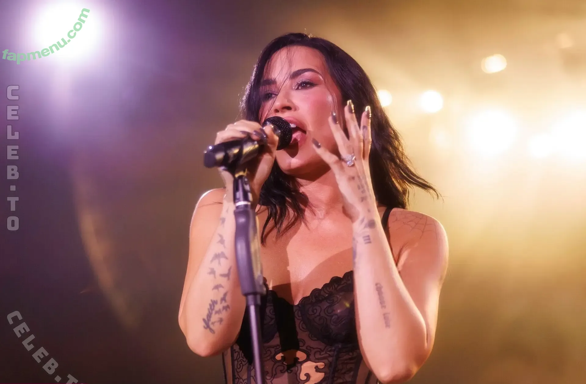 Demi Lovato nude photo #1341 (ddlovato)