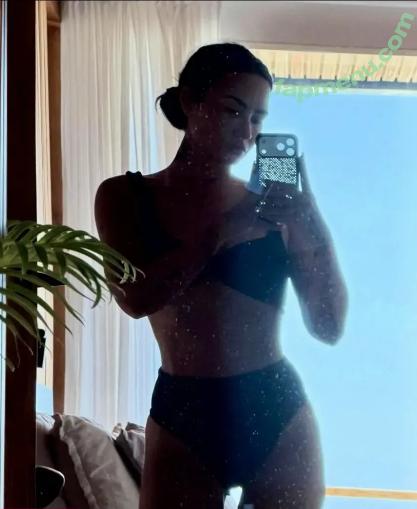 Demi Lovato nude photo #1343 (ddlovato)