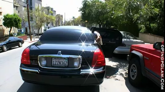 Denise Milani / denisemilani / denisemilaniofficial nude photo #0027