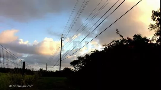 Denise Milani / denisemilani / denisemilaniofficial nude photo #0053