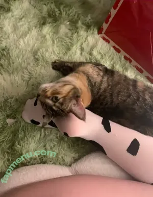 denpafish / despairfish nude photo #0188