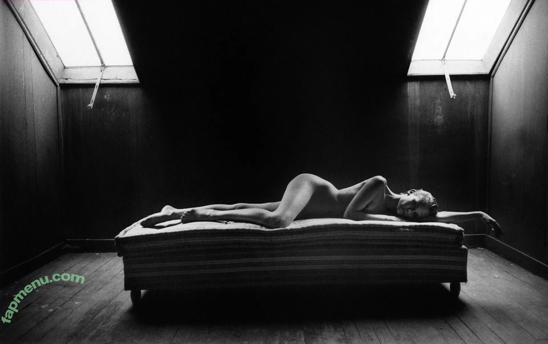 Diane Kruger nude photo #0206 (dianekruger)