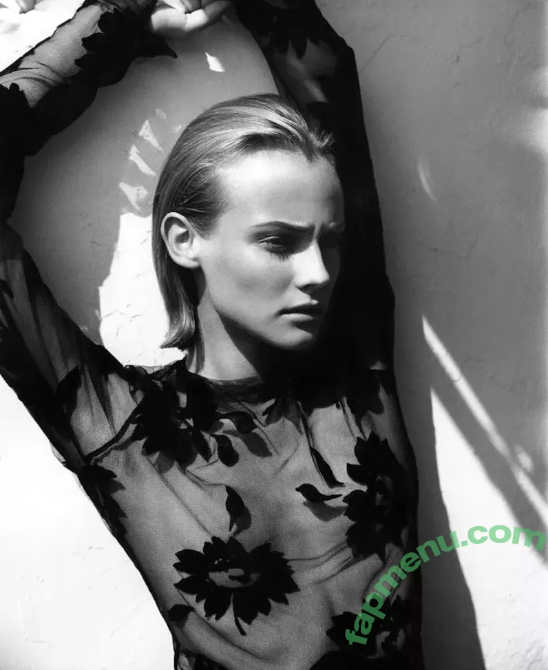 Diane Kruger nude photo #0275 (dianekruger)