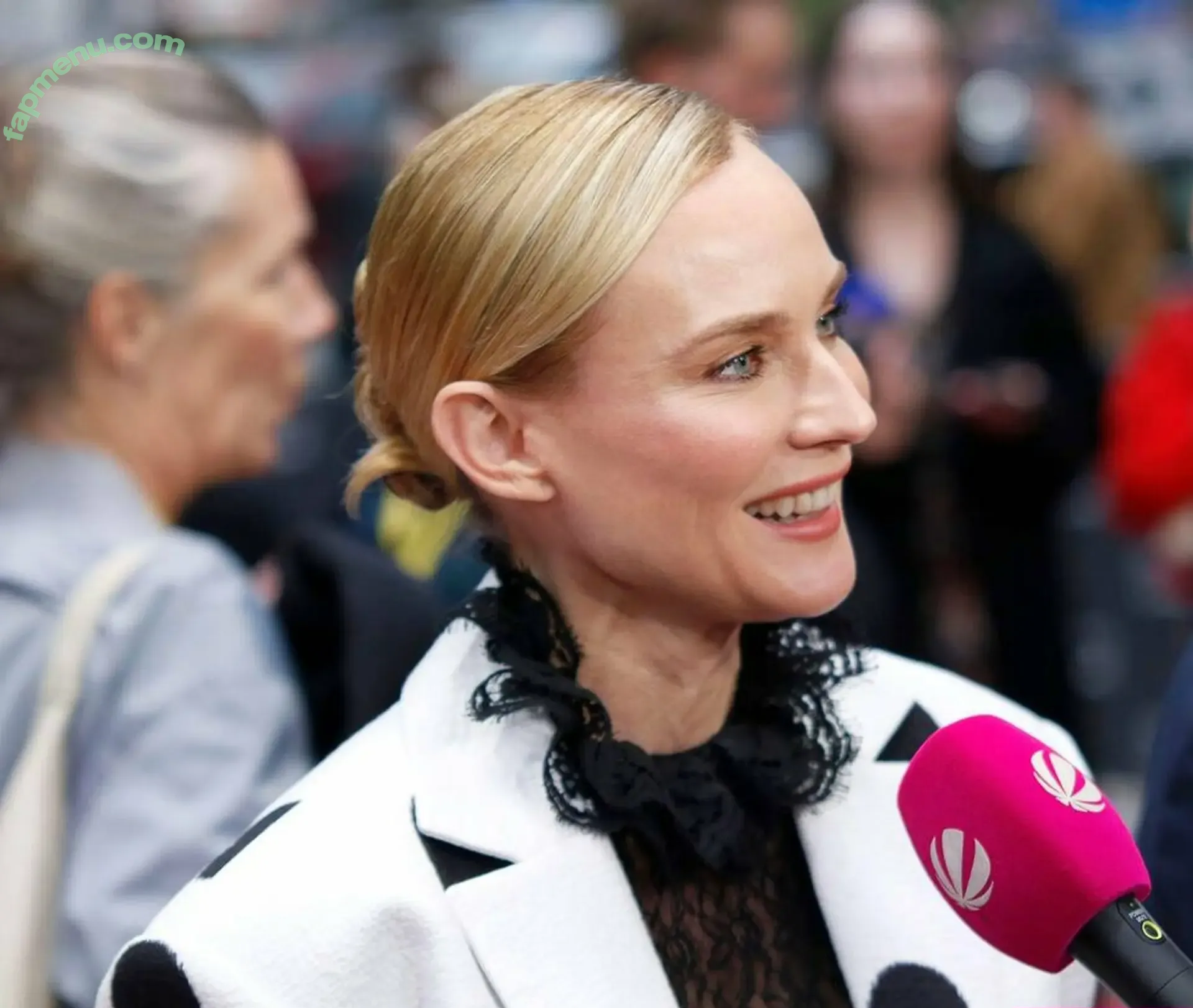 Diane Kruger nude photo #0650 (dianekruger)