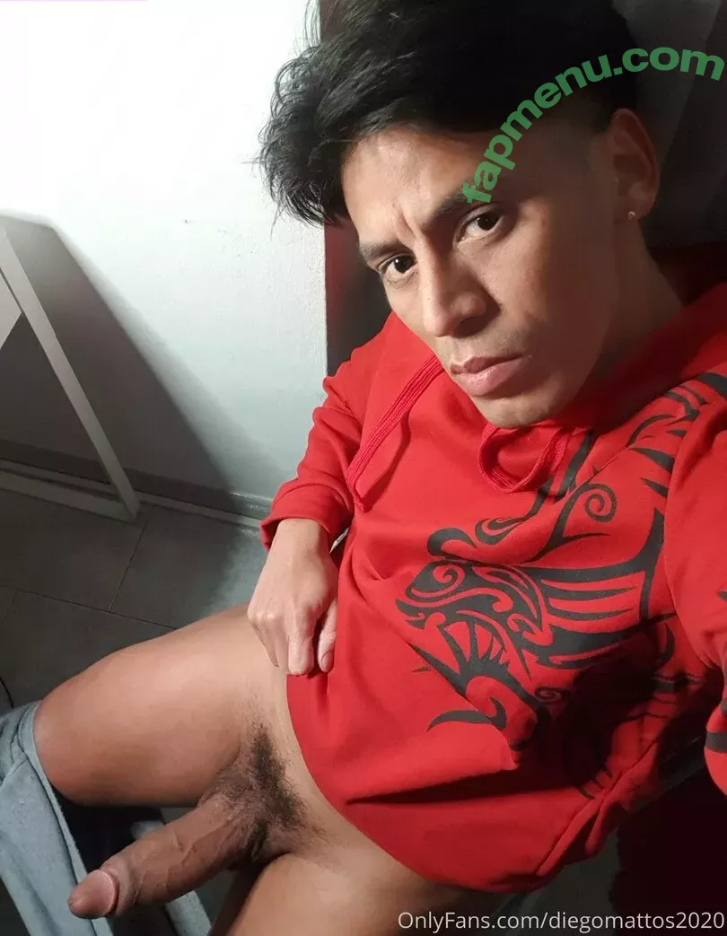 diegomattos2020 nude photo #0089 (diegomattos136)