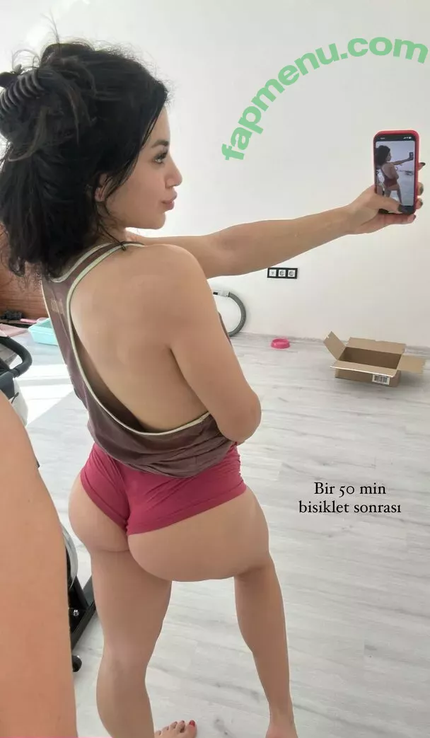 Dilara Deniz nude photo #0076 (ddilaradeniz / diilaraadnz)