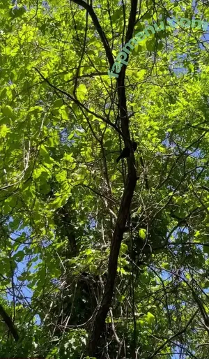 Dionkadi / dionkadi_ nude photo #0074