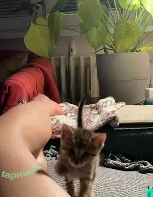 Dionkadi / dionkadi_ nude photo #0096