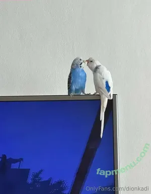 Dionkadi / dionkadi_ nude photo #0099