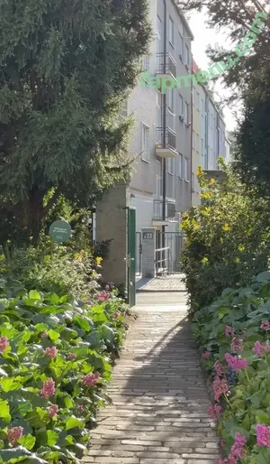 Dionkadi / dionkadi_ nude photo #0113