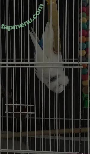 Dionkadi / dionkadi_ nude photo #0167