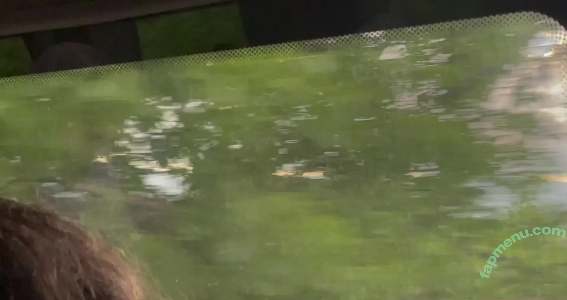 Dionkadi nude photo #0077 (Dionkadi)