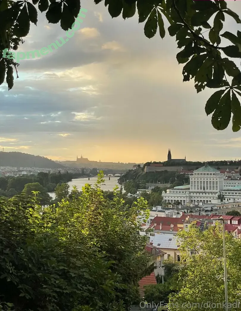 Dionkadi nude photo #0087 (dionkadi_)