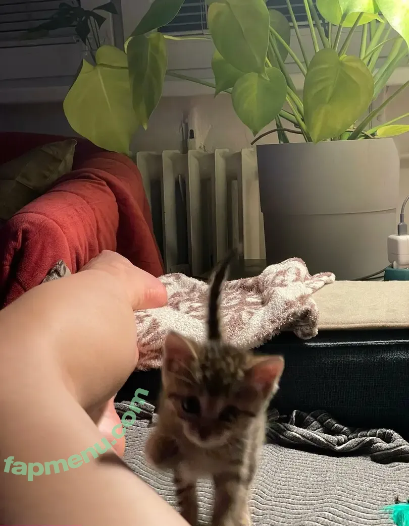 Dionkadi nude photo #0096 (Dionkadi)