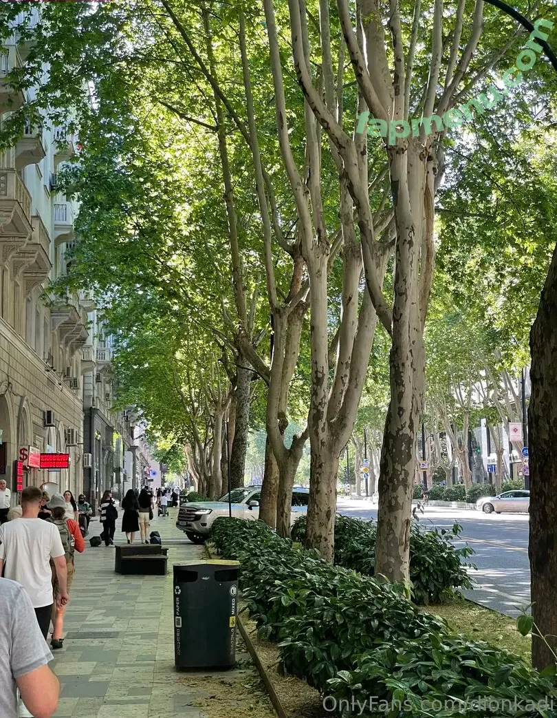 Dionkadi nude photo #0123 (dionkadi_)