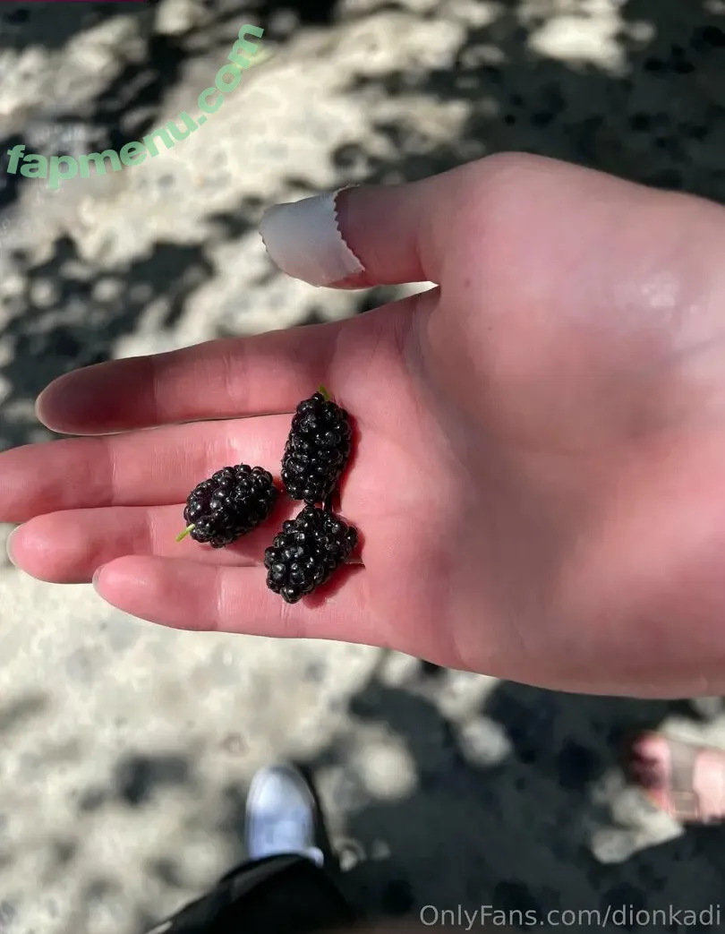 Dionkadi nude photo #0124 (dionkadi_)