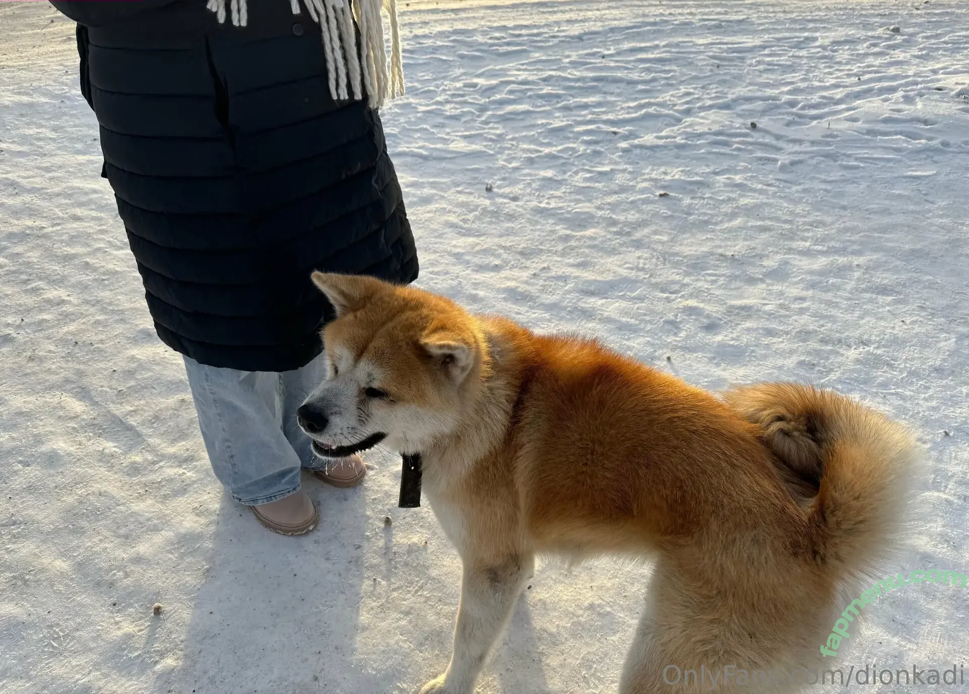 Dionkadi nude photo #0141 (Dionkadi)